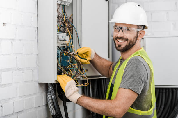 Best Electric Panel Repair  in Excelsior, MN