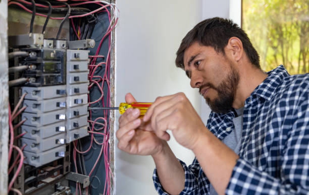Best Affordable Electrician  in Excelsior, MN